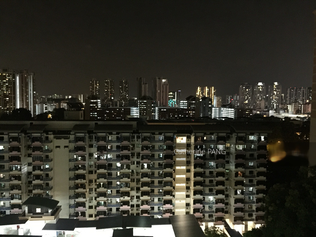Blk 98 Whampoa Drive (Kallang/Whampoa), HDB 3 Rooms #131785402
